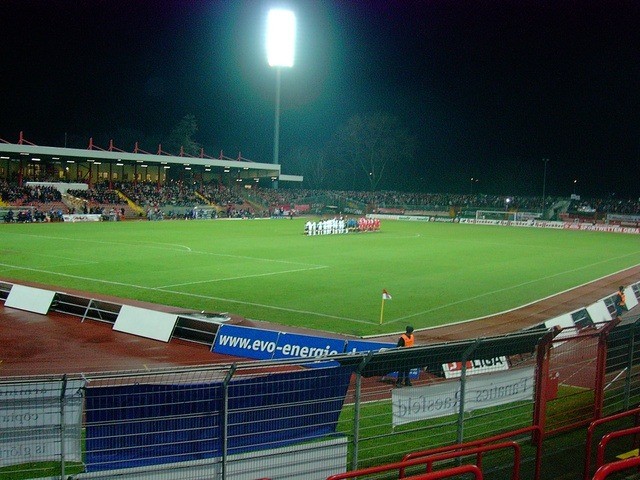 KIF_3497